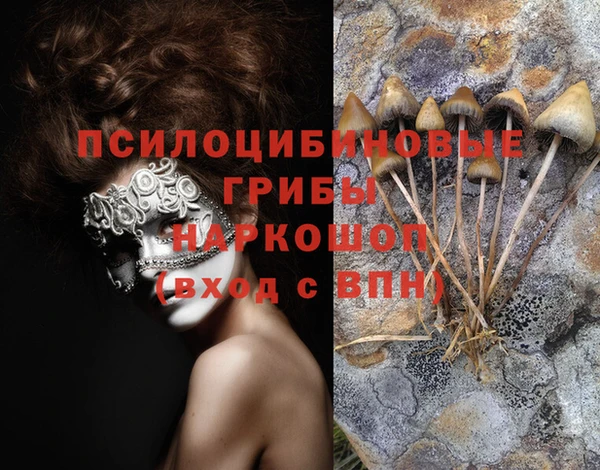 мдма Бронницы